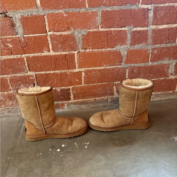 UGG Classic Short Boots Chestnut - Picture 8 of 12
